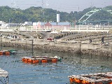 和歌山マリーナシティ海釣り公園イメージ